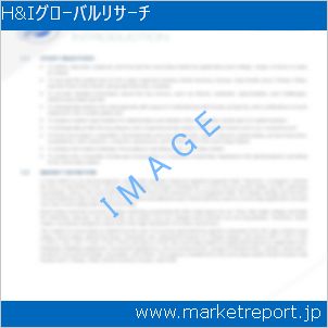 市場と産業調査レポートのイメージ